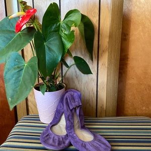 *NWT* The Storehouse Flats size 10